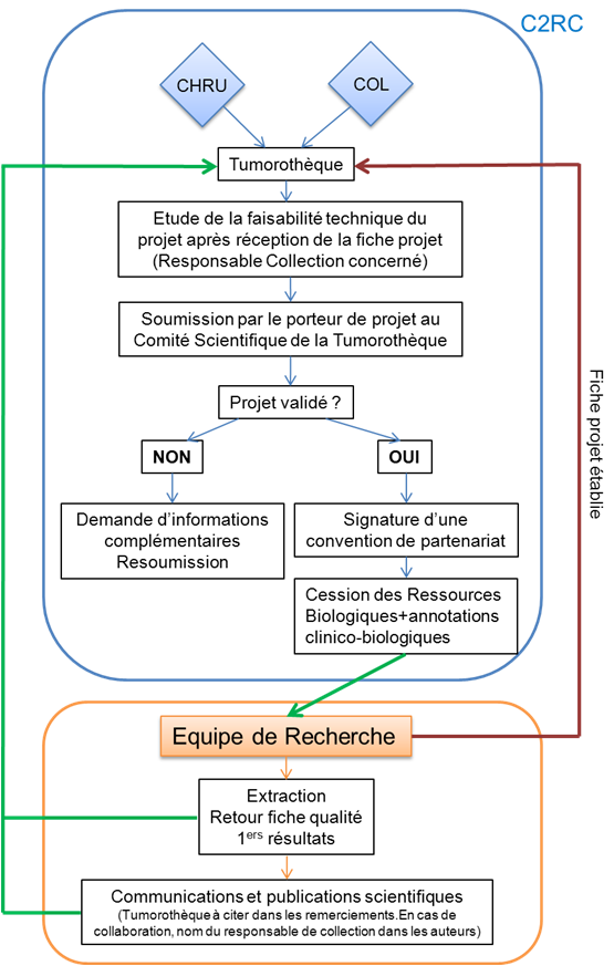 schema